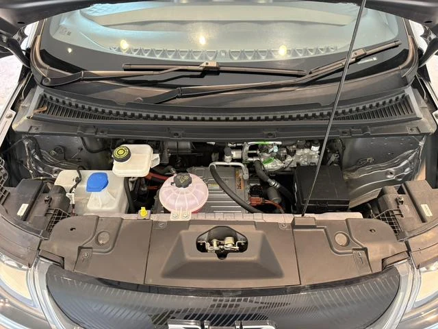 BYD DOLPHIN 40