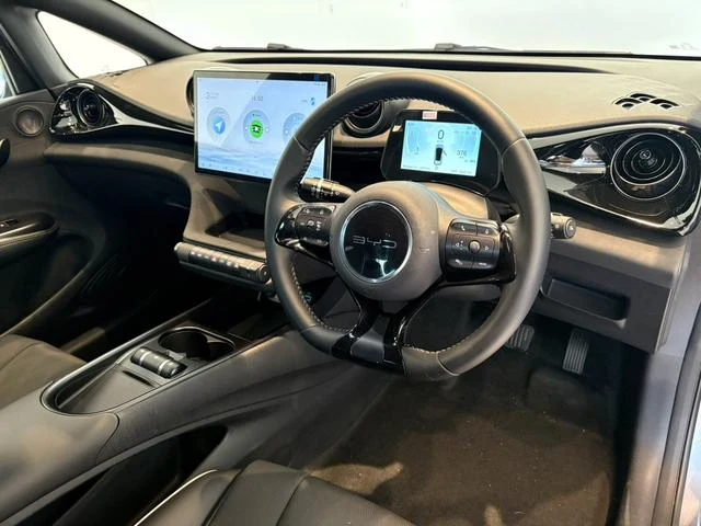 BYD DOLPHIN 16