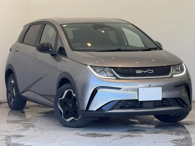 BYD DOLPHIN 41