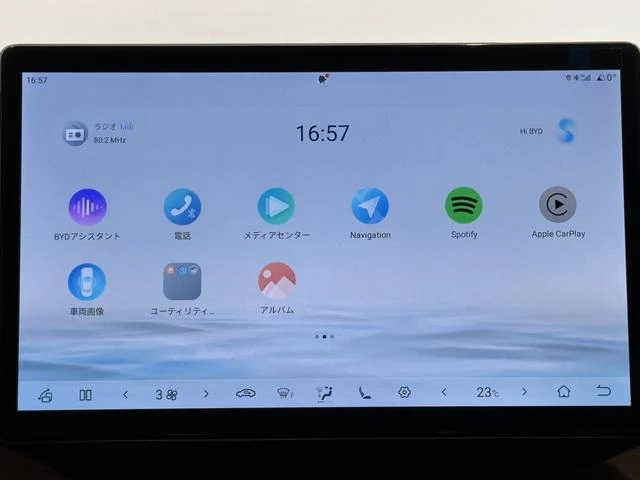 BYD DOLPHIN 29