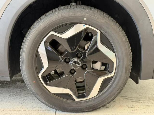 BYD DOLPHIN 52