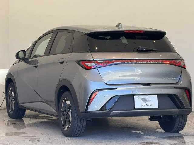 BYD DOLPHIN 48