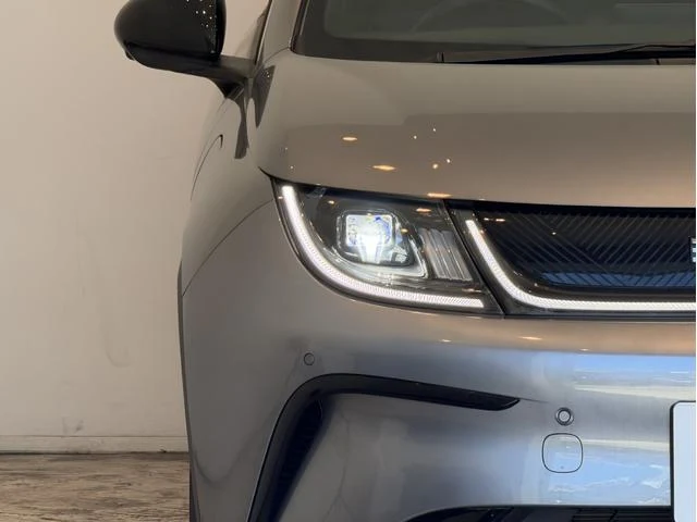 BYD DOLPHIN 45