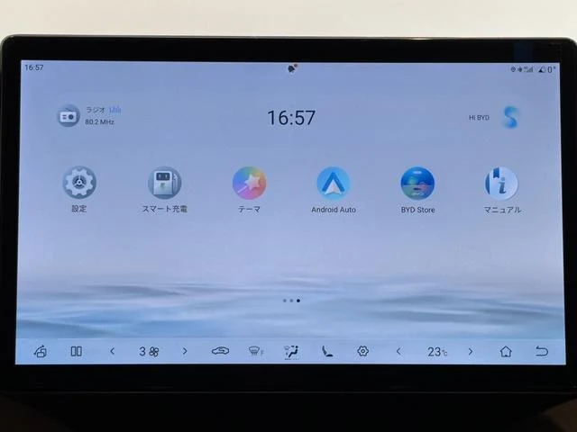 BYD DOLPHIN 30