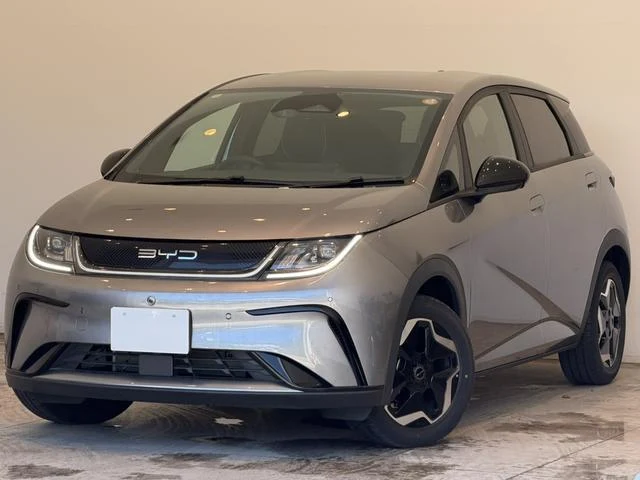 BYD DOLPHIN 47