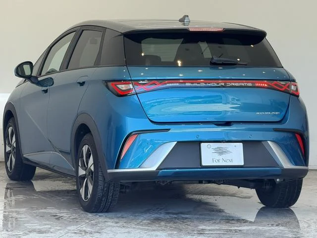 BYD DOLPHIN 53