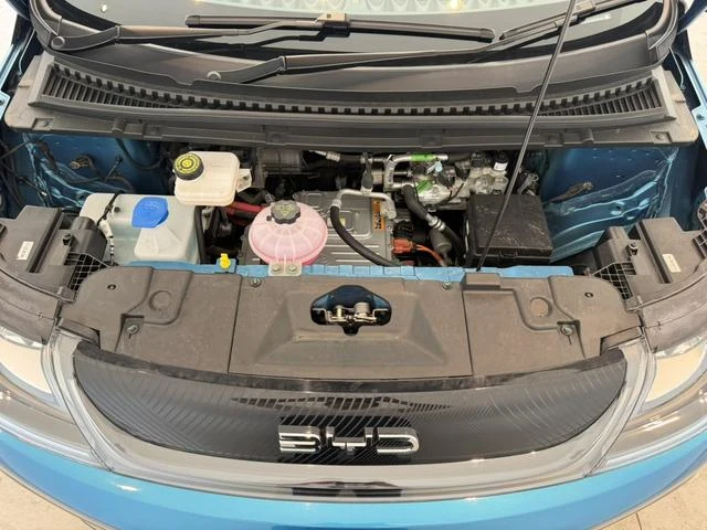 BYD DOLPHIN 46