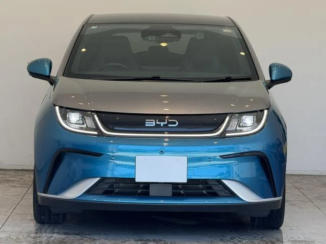 BYD DOLPHIN 49