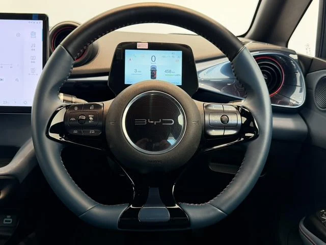 BYD DOLPHIN 24