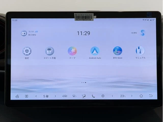 BYD DOLPHIN 36