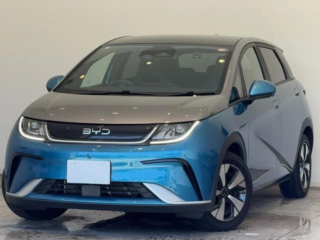 BYD DOLPHIN 13