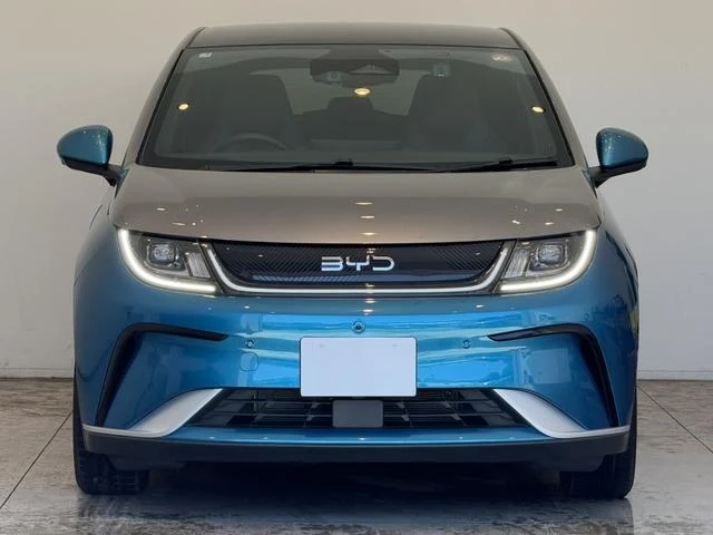 BYD DOLPHIN 48