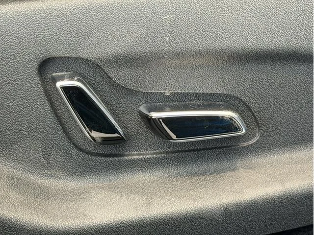 BYD DOLPHIN 40