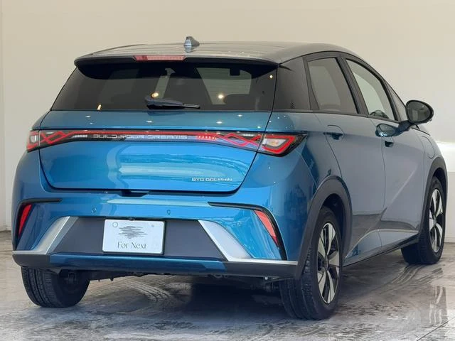 BYD DOLPHIN 16