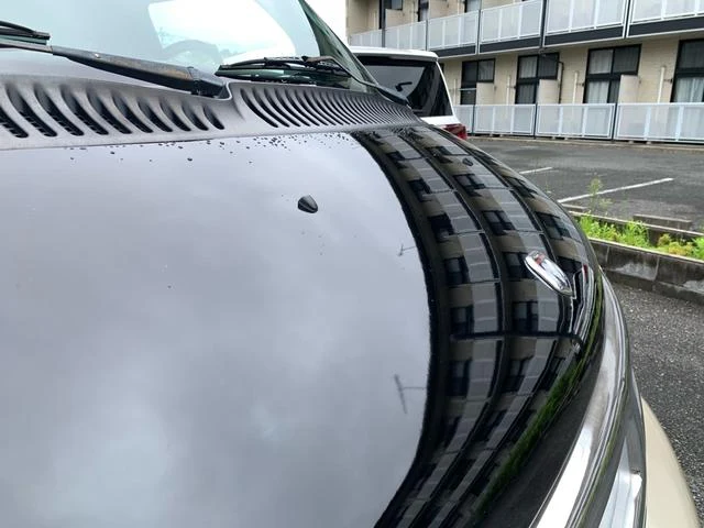 Dodge VAN 4