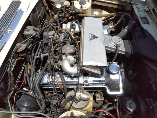 Triumph STAG 39