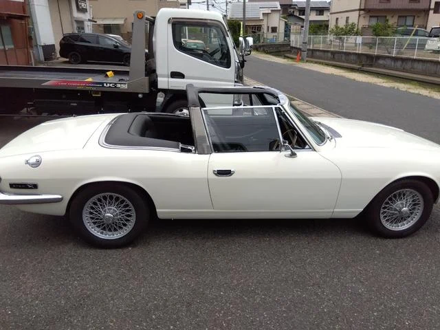 Triumph STAG 13
