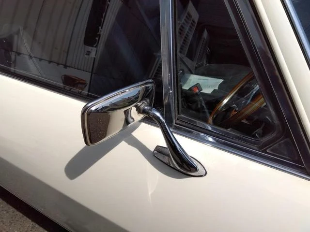 Triumph STAG 19
