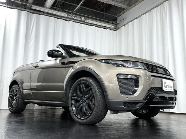 Land Rover RANGE ROVER 31