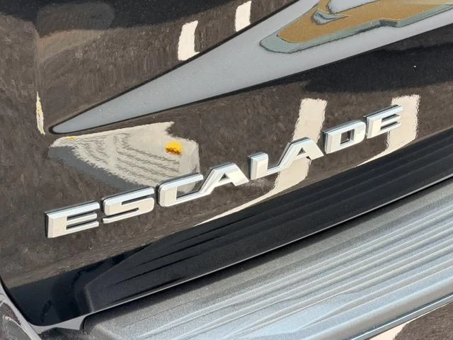 Cadillac ESCALADE 18