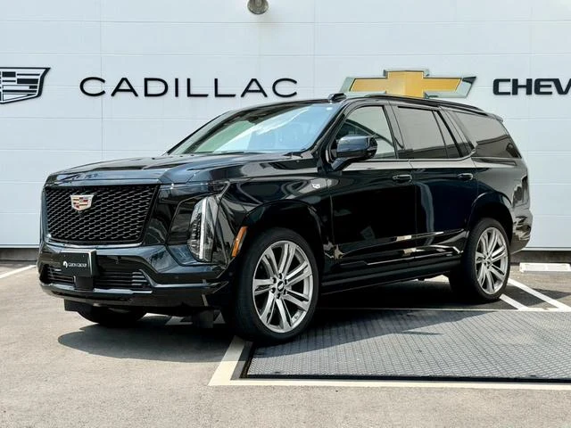 Cadillac ESCALADE 13