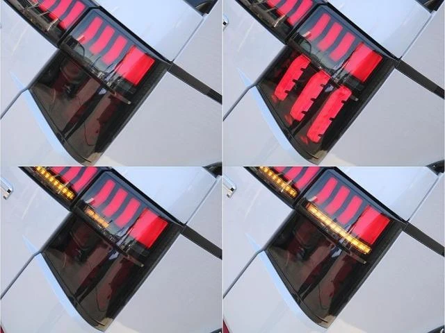 Mitsubishi DELICA 19