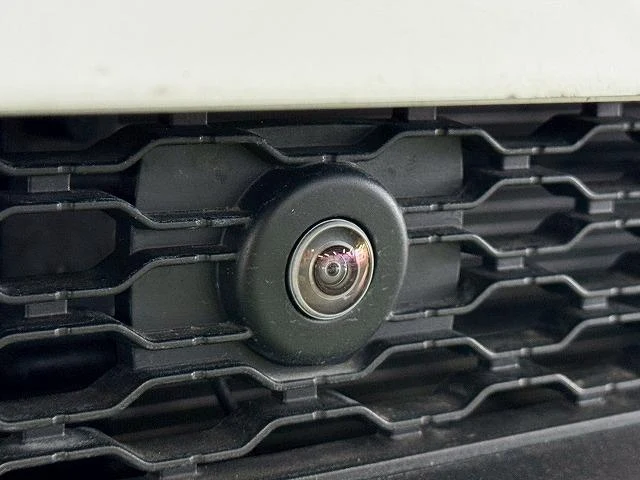 Land Rover RANGE ROVER 74