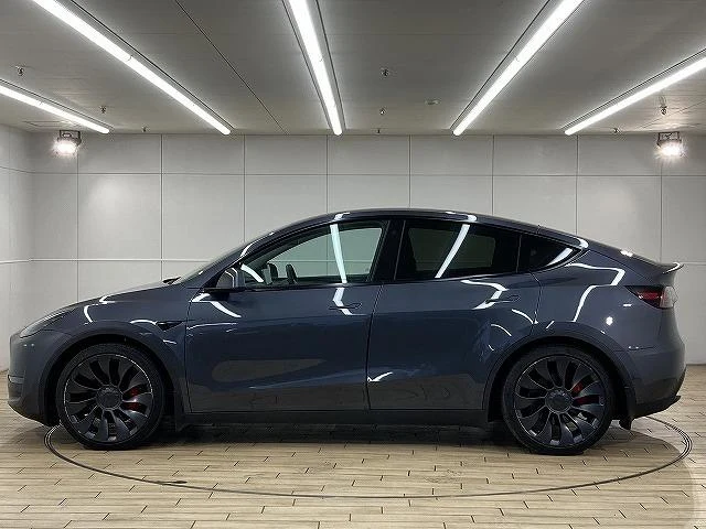 Tesla MODEL 34