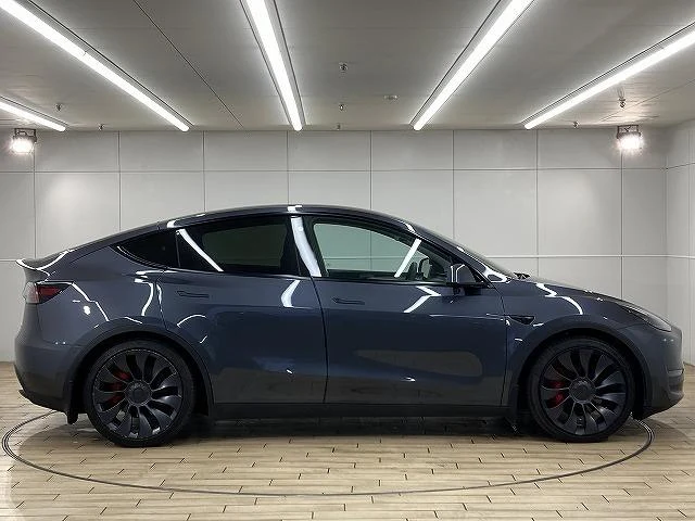 Tesla MODEL 38