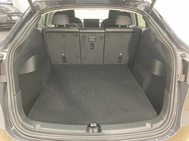 Tesla MODEL 39