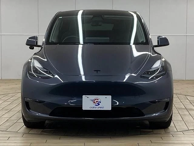 Tesla MODEL 2