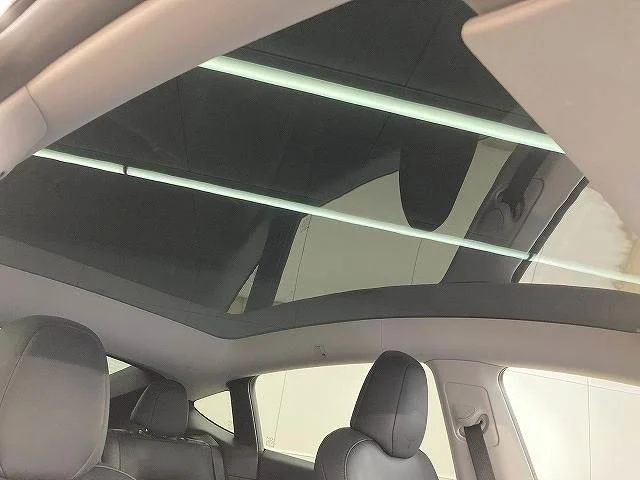 Tesla MODEL 7