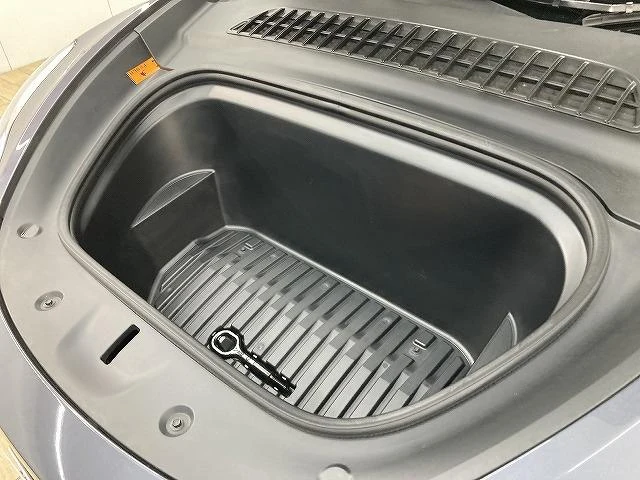 Tesla MODEL 21