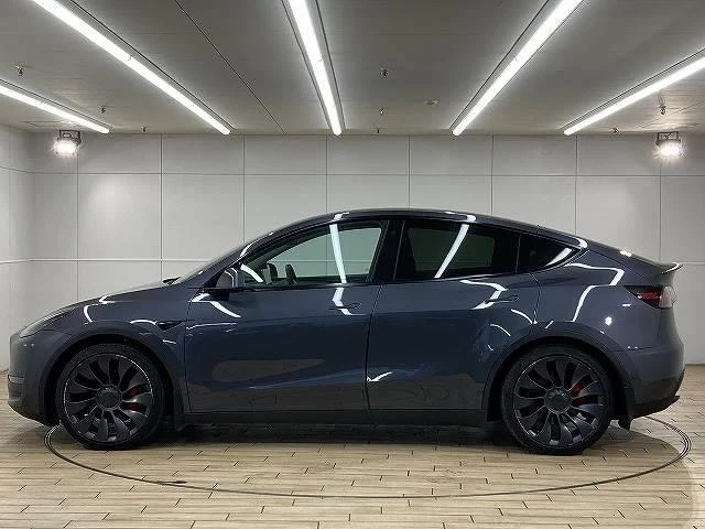 Tesla MODEL 15