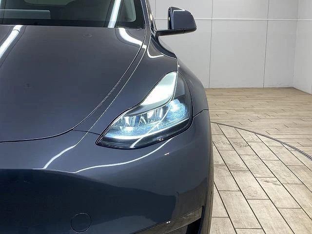Tesla MODEL 22