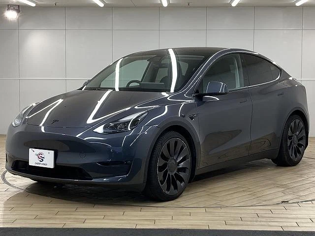 Tesla MODEL 31