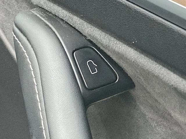 Tesla MODEL 46
