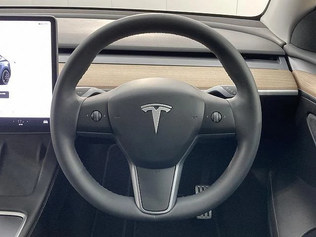 Tesla MODEL 43