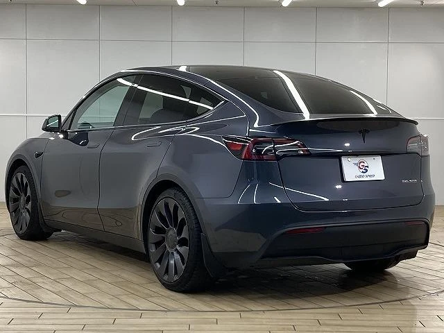Tesla MODEL 35