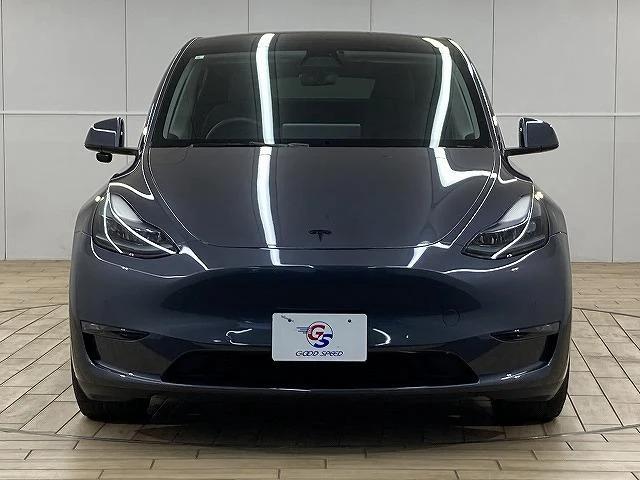 Tesla MODEL 33
