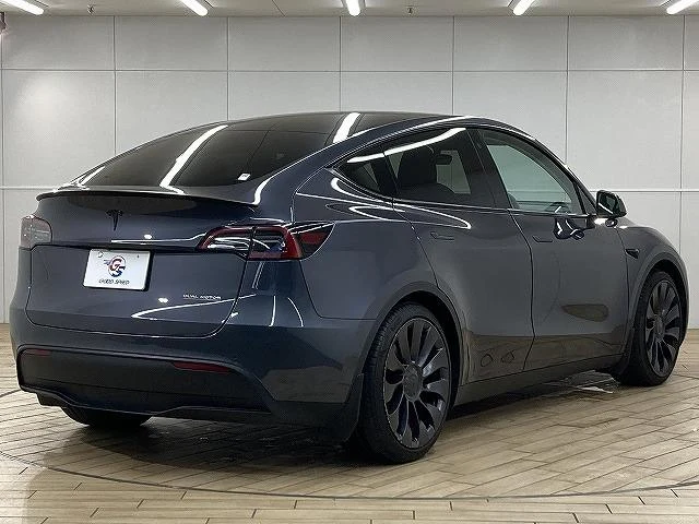 Tesla MODEL 36