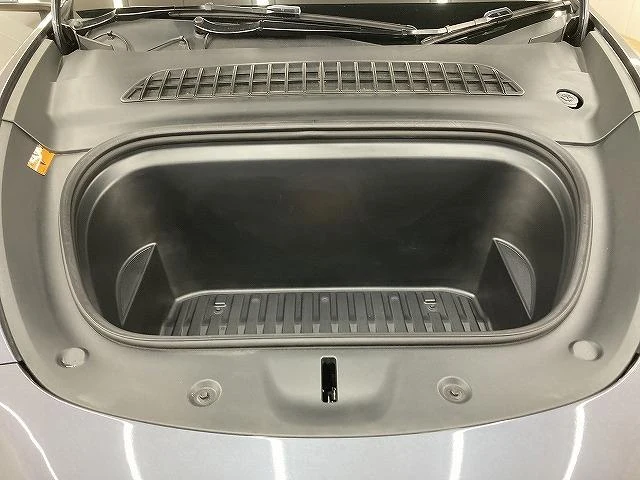 Tesla MODEL 20