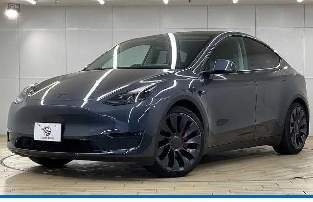 Tesla MODEL