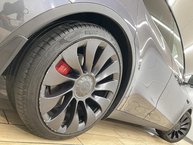 Tesla MODEL 30