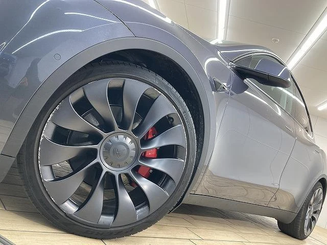 Tesla MODEL 25