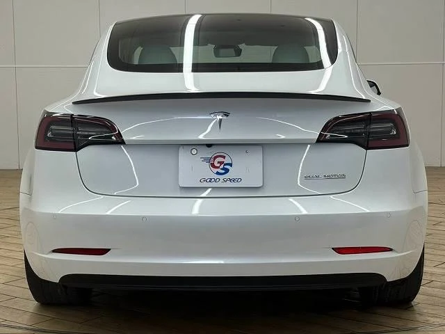 Tesla MODEL 3 15