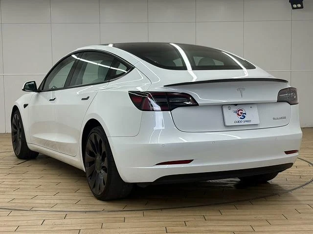 Tesla MODEL 3 22