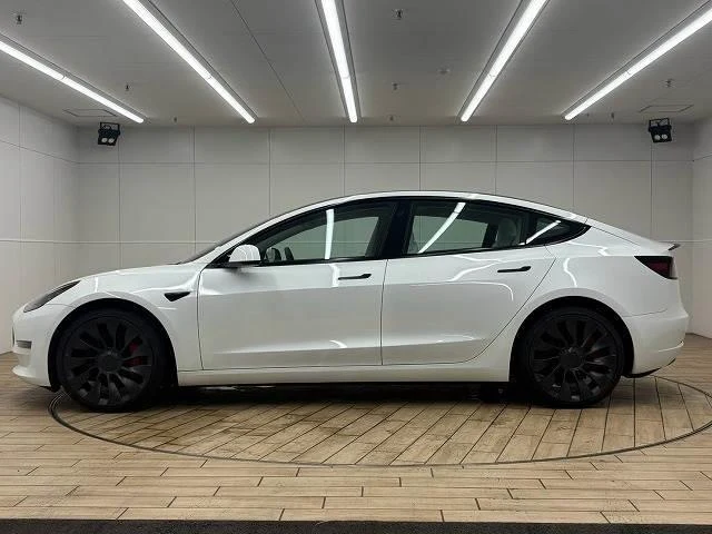 Tesla MODEL 3 16
