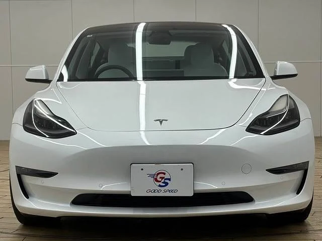 Tesla MODEL 3 14