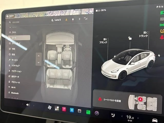 Tesla MODEL 3 9